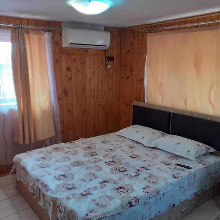 Проживание в семье Albastrul Marin