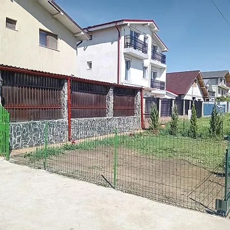 Проживание в семье Albastrul Marin