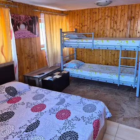 Проживание в семье Albastrul Marin *