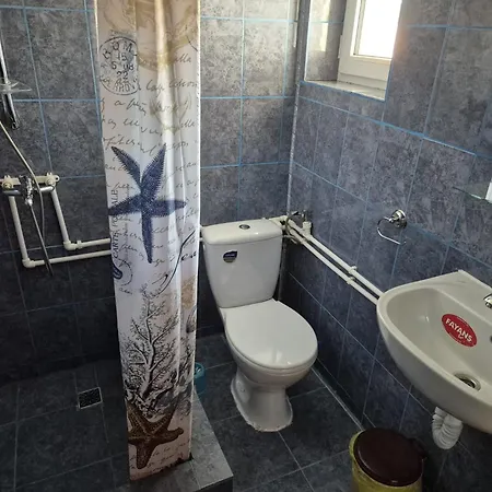 Проживание в семье Albastrul Marin *